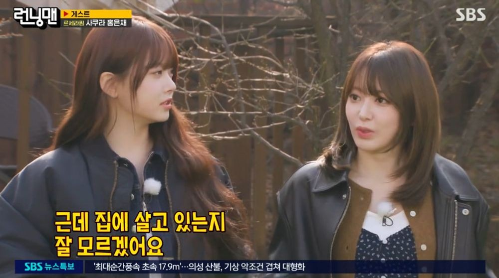 홍은채