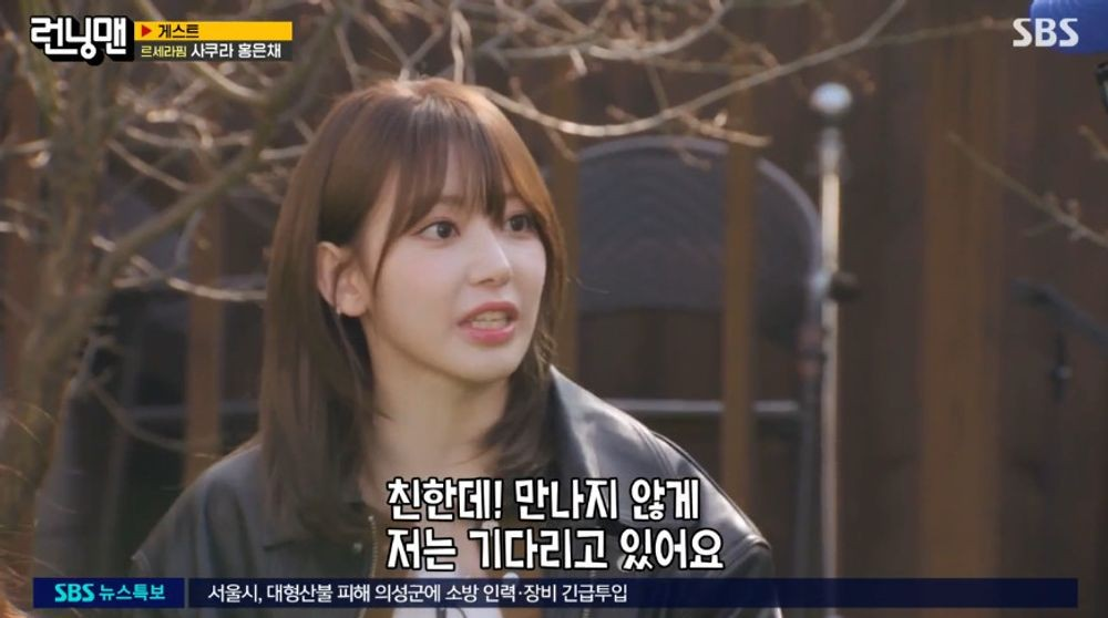 홍은채