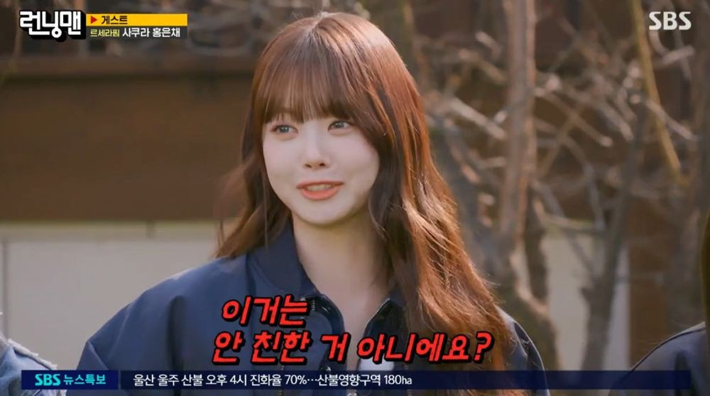 홍은채