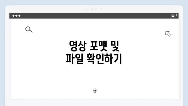 영상 포맷 및 파일 확인하기