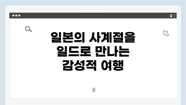 일본의 사계절을 일드로 만나는 감성적 여행