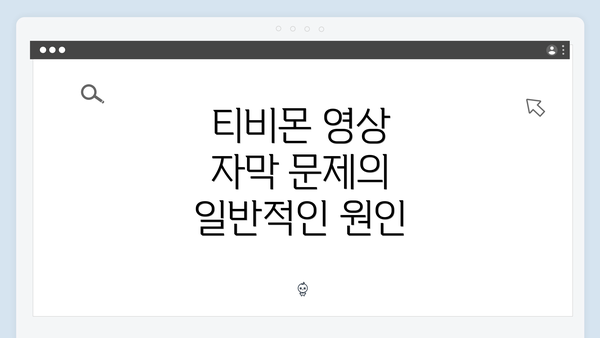 티비몬 영상 자막 문제의 일반적인 원인