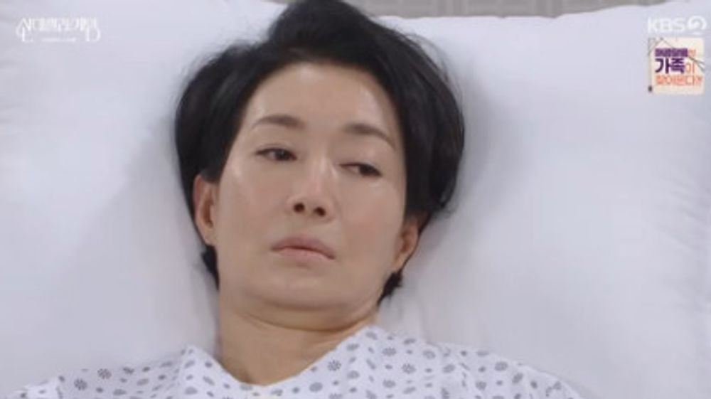 신데렐라 게임
