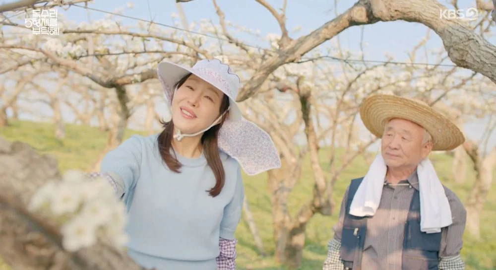 독수리 5형제를 부탁해