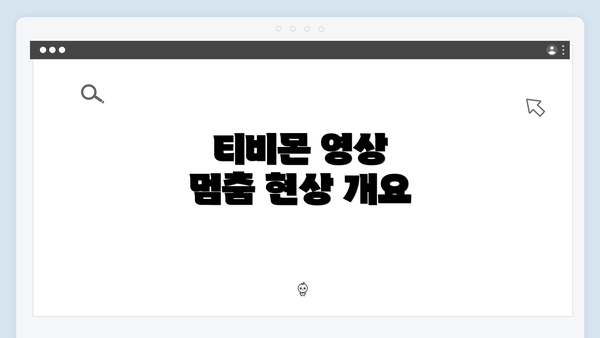 티비몬 영상 멈춤 현상 개요