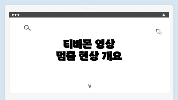 티비몬 영상 멈춤 현상 개요