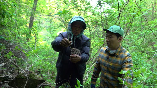 나는 자연인이다