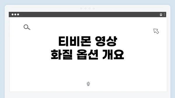 티비몬 영상 화질 옵션 개요