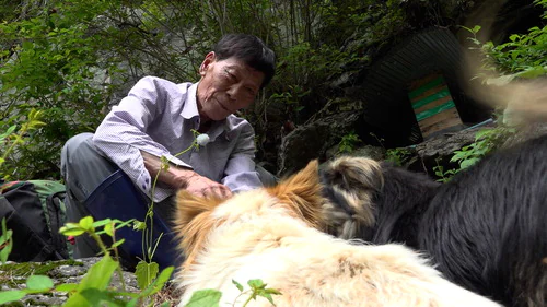 나는 자연인이다