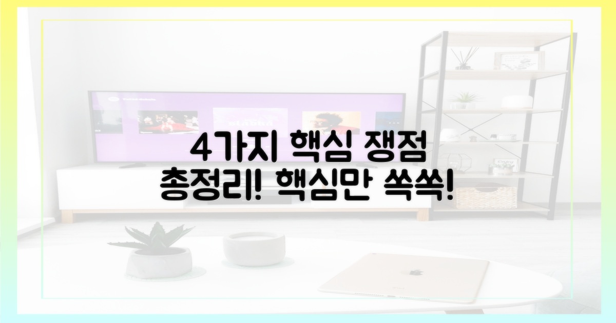 4가지 주요 쟁점