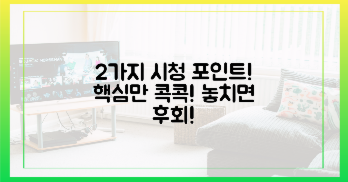 2가지 시청 포인트