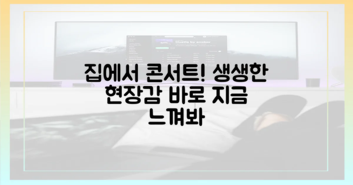 생생한 현장감, 집에서 즐기는 콘서트