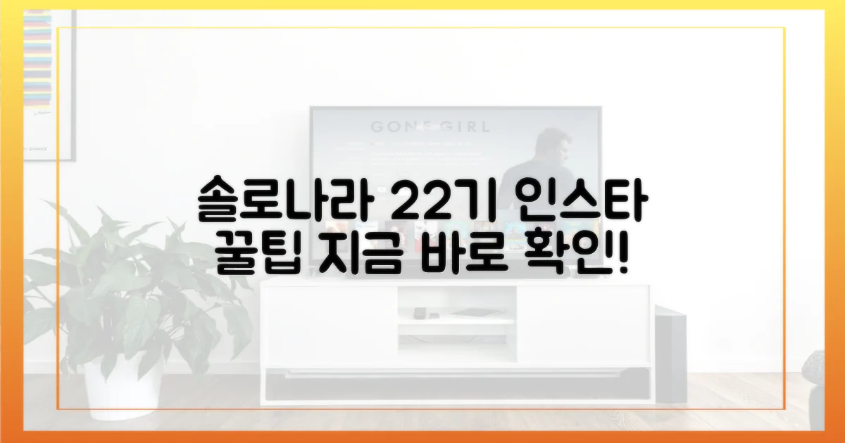 솔로나라 22기 인스타 탐방