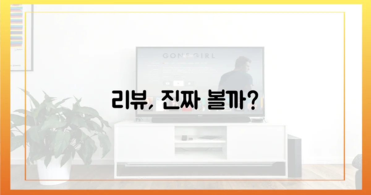 리뷰, 정말 볼 만할까?