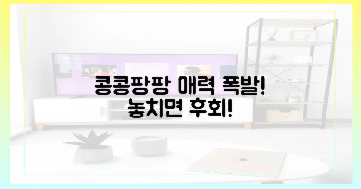 콩콩팡팡'의 매력 포인트