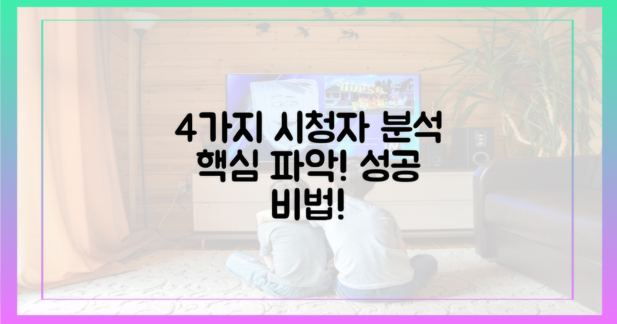 4가지 시청자 분석