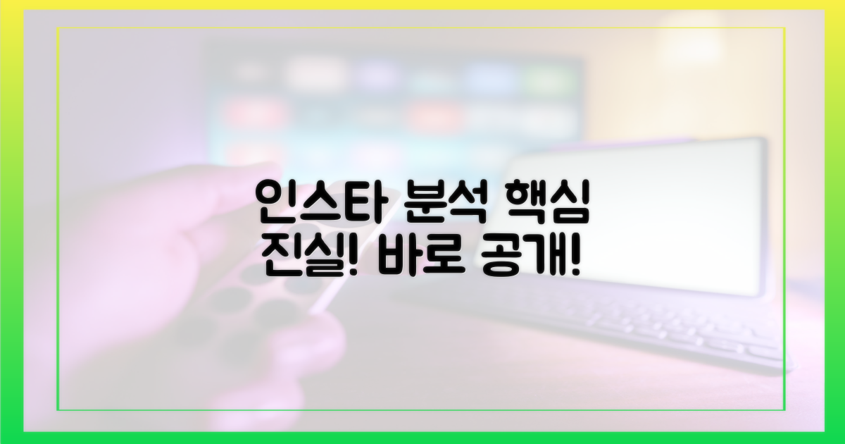 인스타 분석, 진실은 무엇?