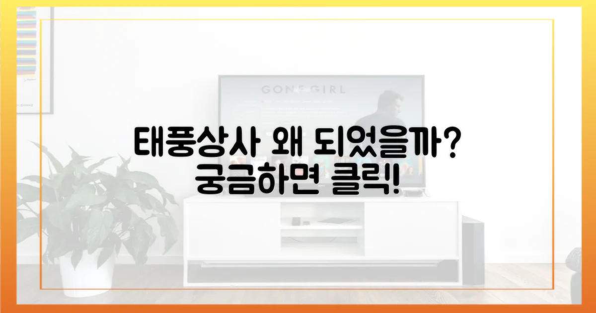 왜 태풍상사였는지 확인하세요!