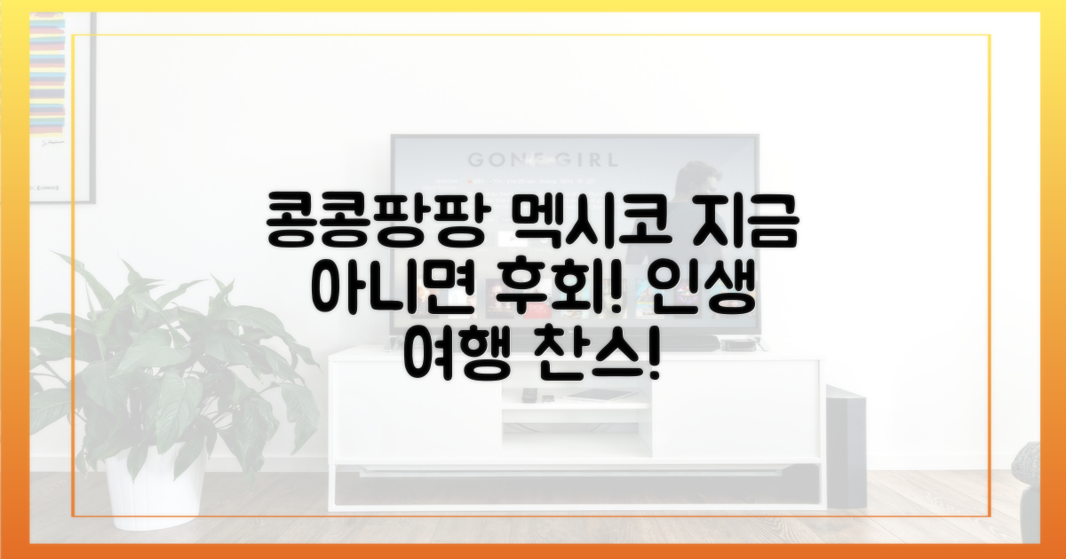 콩콩팡팡 멕시코, 지금 가야 할 이유