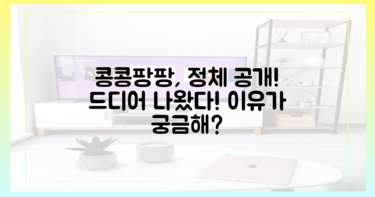 콩콩팡팡, 왜 나왔는지 알려줄게