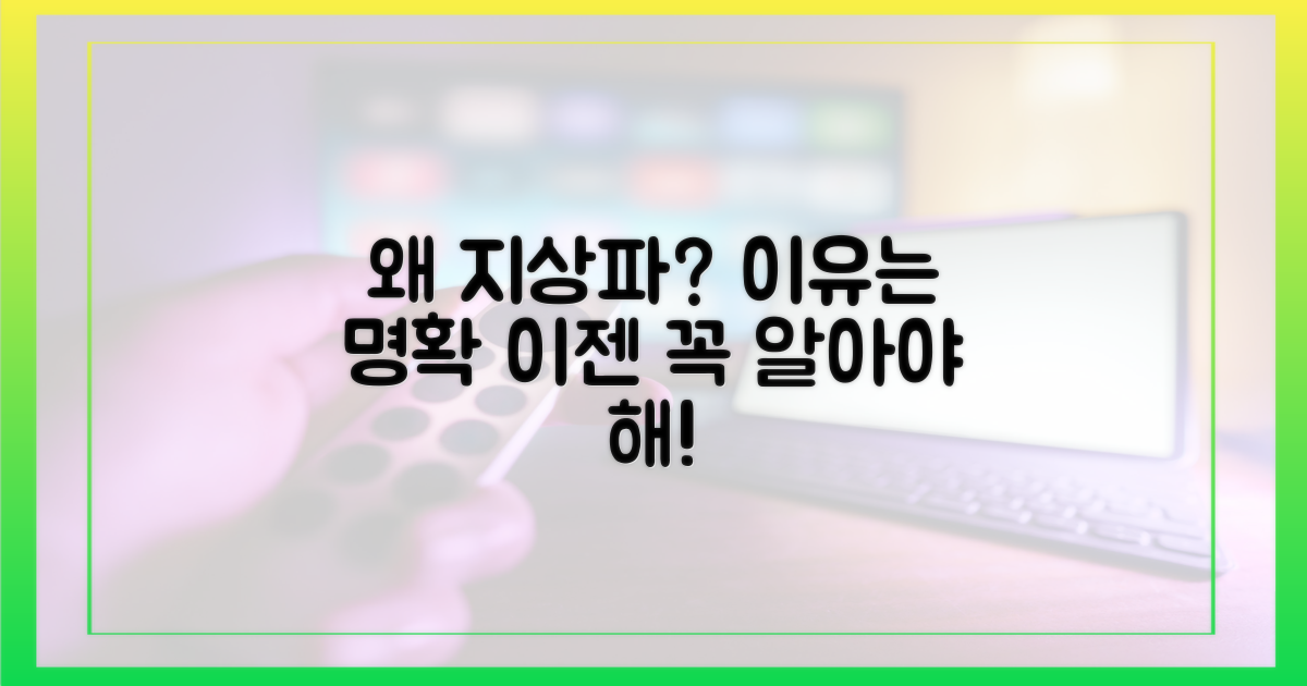 왜 지상파여야만 했을까