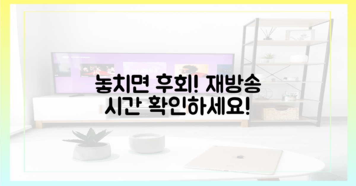 놓치지 마세요, 재방송 시간!