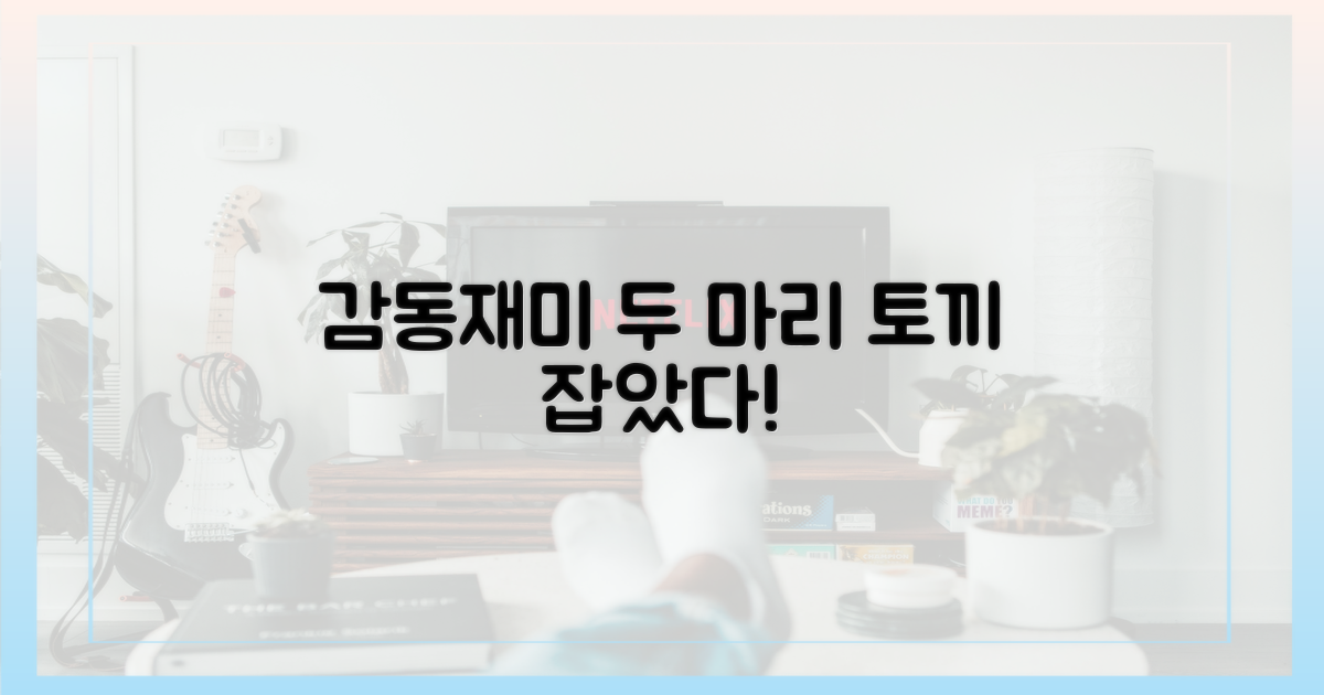 감동과 재미, 두 마리 토끼