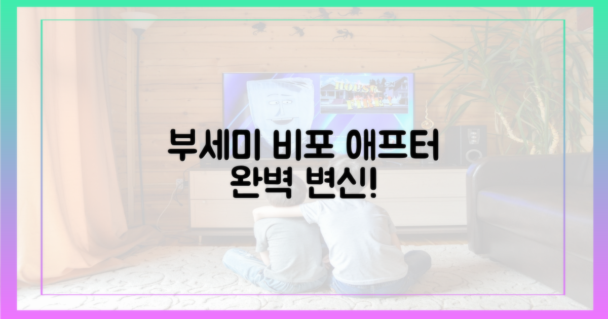 부세미 이전과 이후