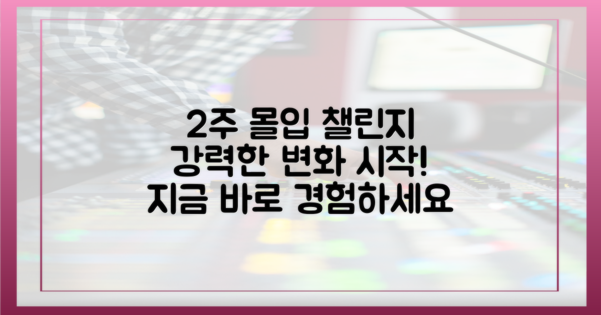 2주간의 몰입