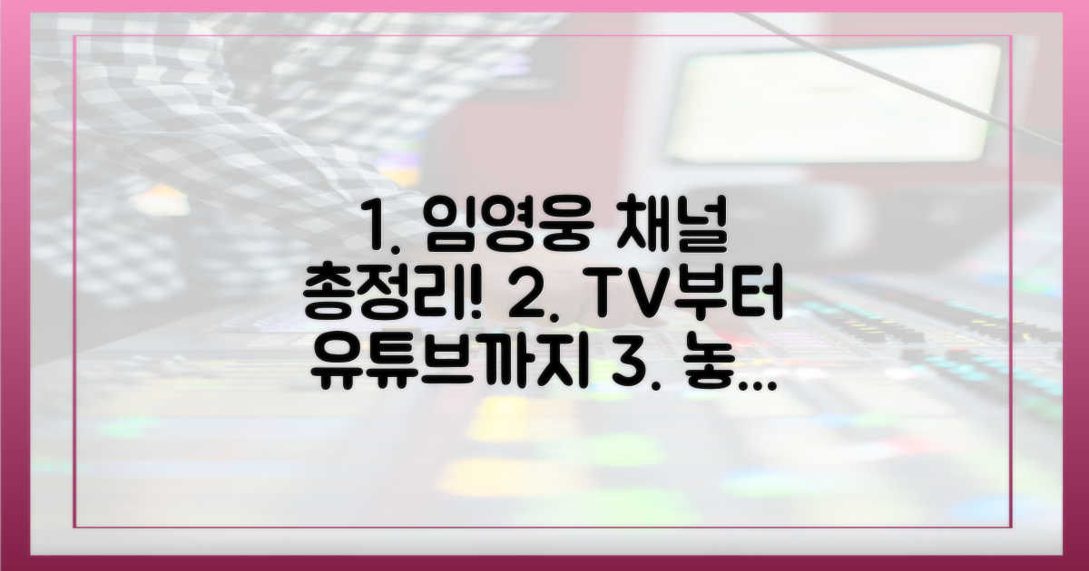 임영웅, 방송 채널 총정리!