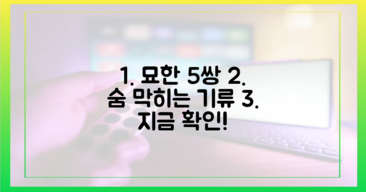 5쌍의 묘한 기류
