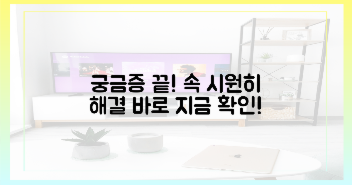 당신의 궁금증, 모두 해결!