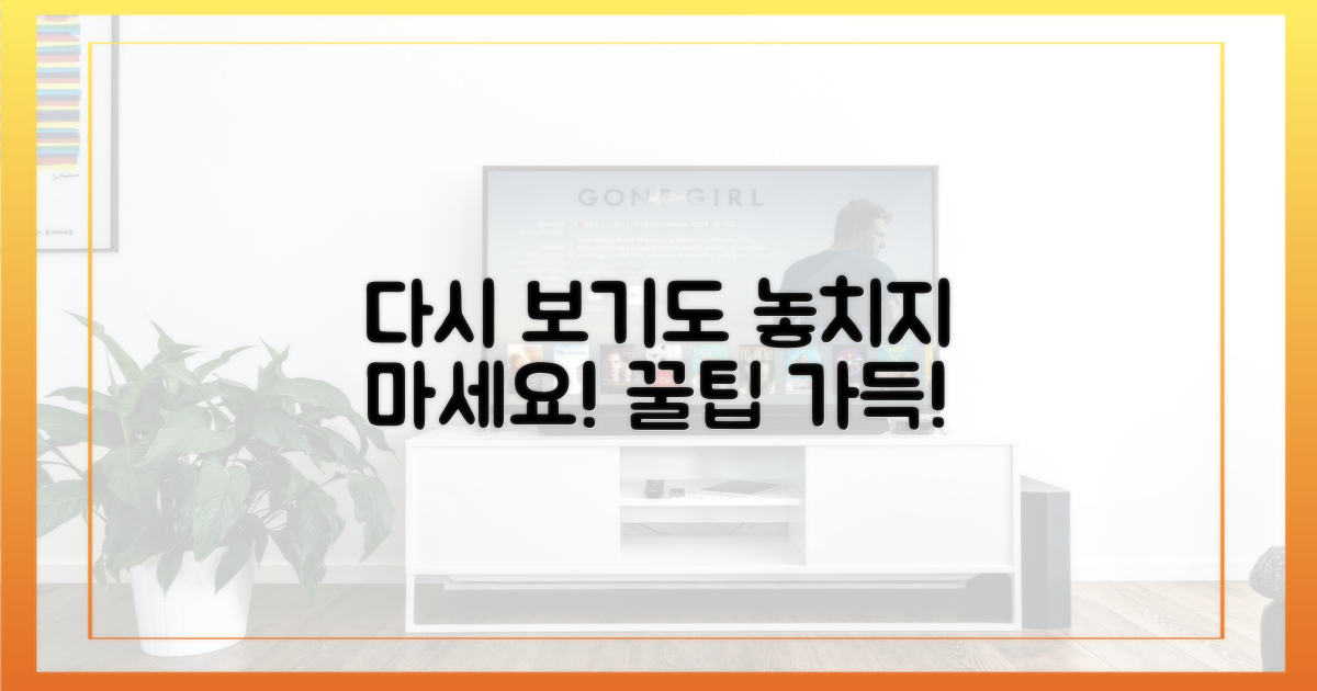 다시보기도 놓치지 마세요!