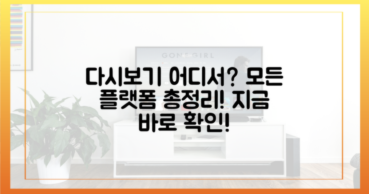 다시보기 가능한 플랫폼은?