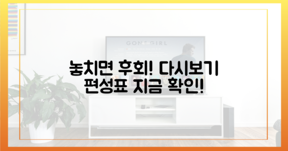 놓치면 후회! 재방송 편성표 확인