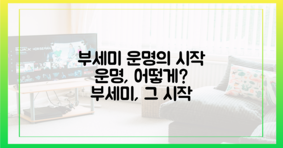 부세미, 운명은 어떻게 시작되었나