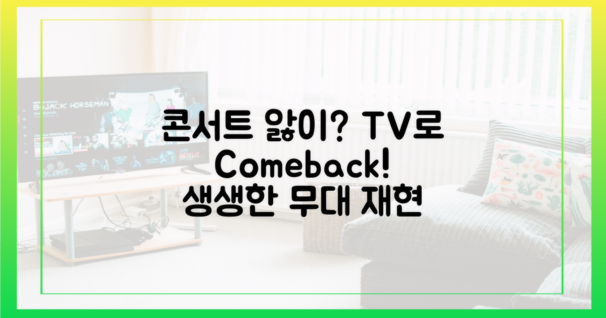 콘서트 여운, TV에서 만나요