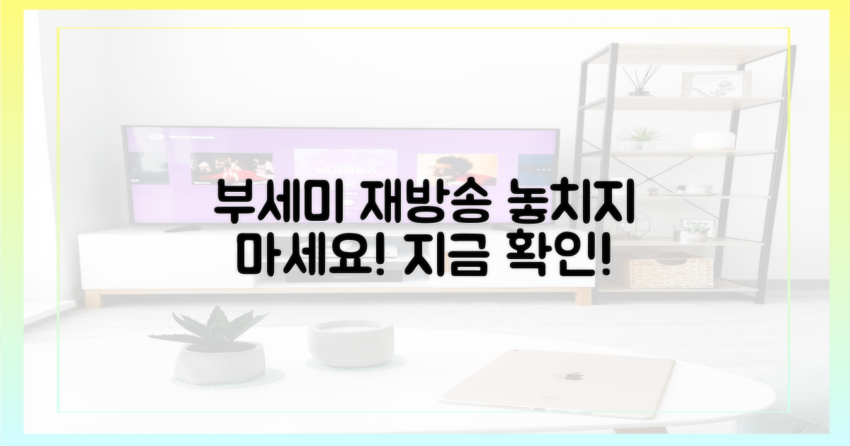 부세미' 재방송, 언제 볼 수 있을까?