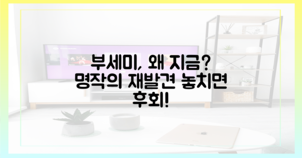 부세미' 왜 다시 봐야 할까?