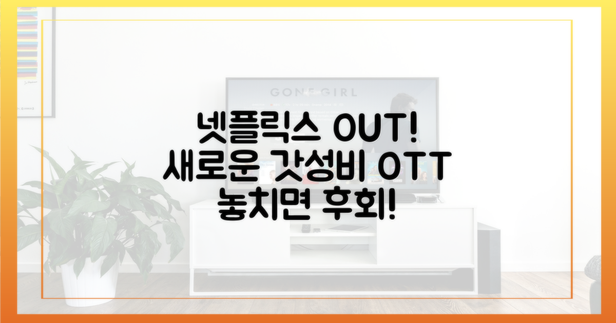 넷플릭스 없는 새로운 선택