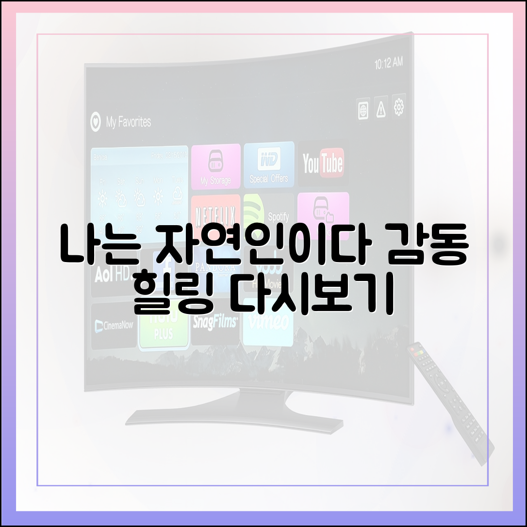 '나는 자연인이다' 최신 회차, 감동과 힐링 포인트 다시보기