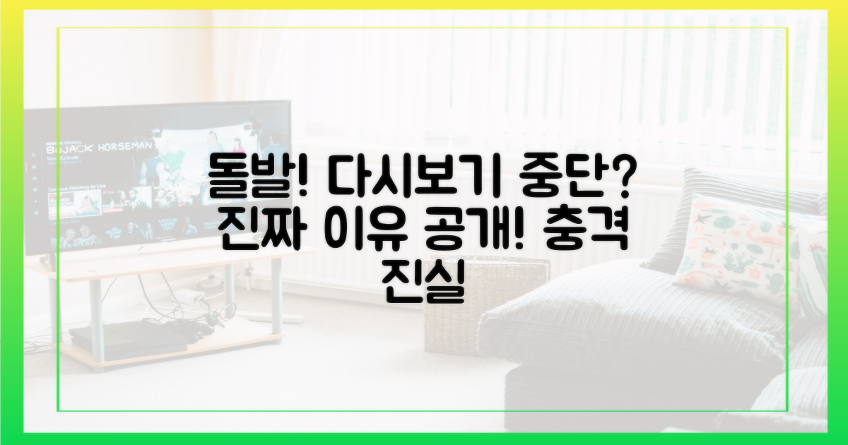 다시보기 중단의 진짜 이유는?