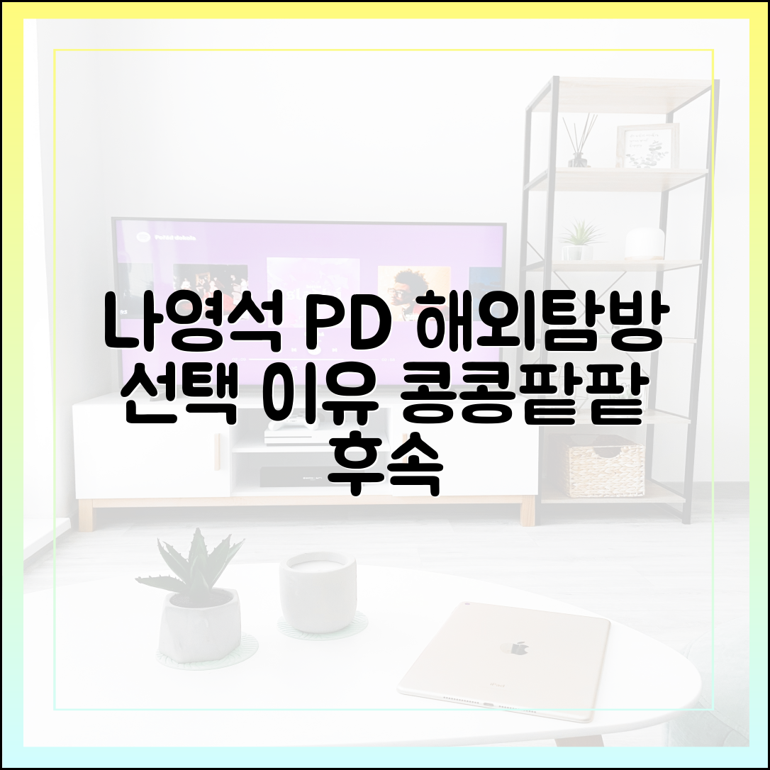 나영석 PD가 콩콩팥팥 후속으로 '해외탐방'을 선택한 이유
