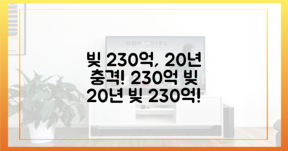 20년간 빚 230억