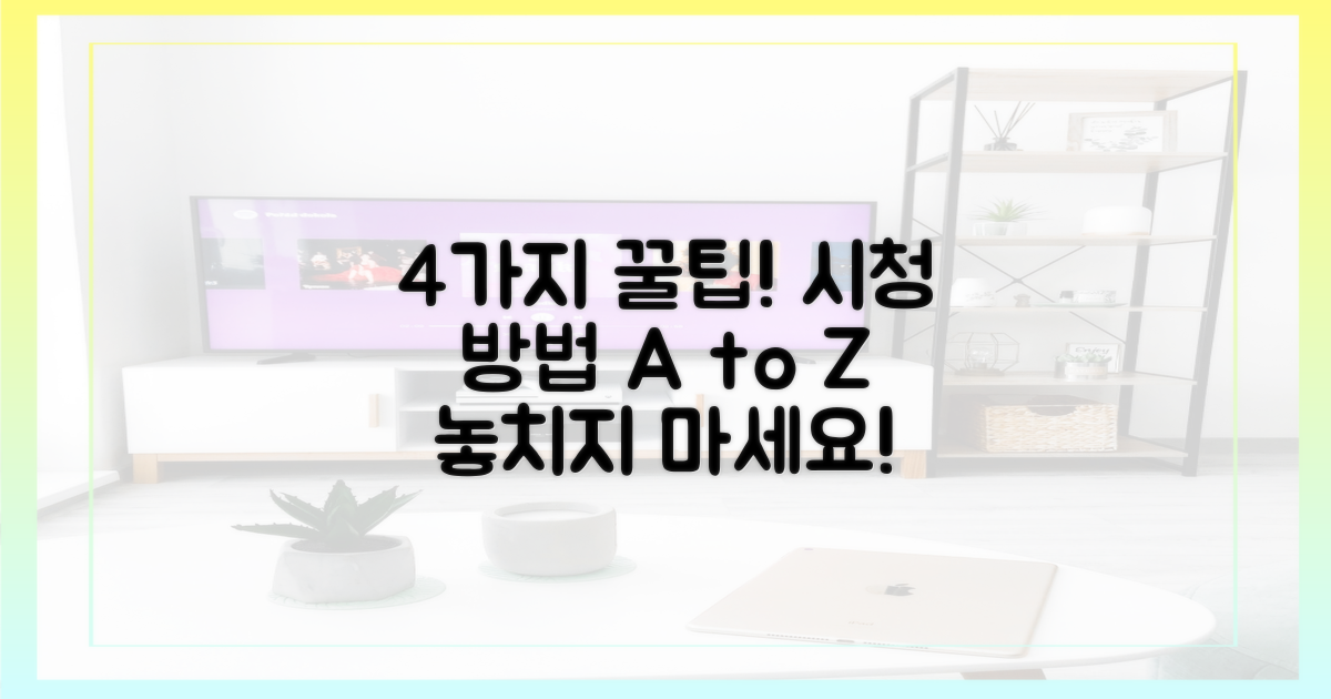 4가지 시청 옵션