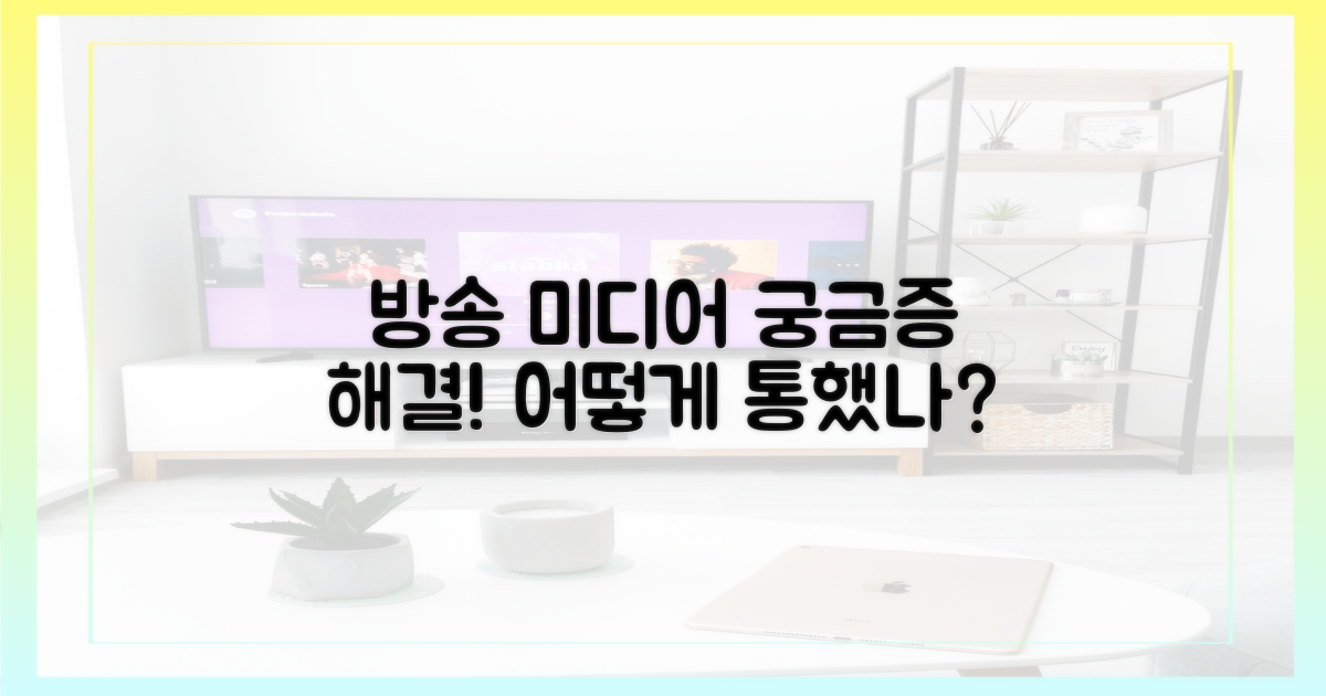 방송 미디어, 어떻게 통했나?