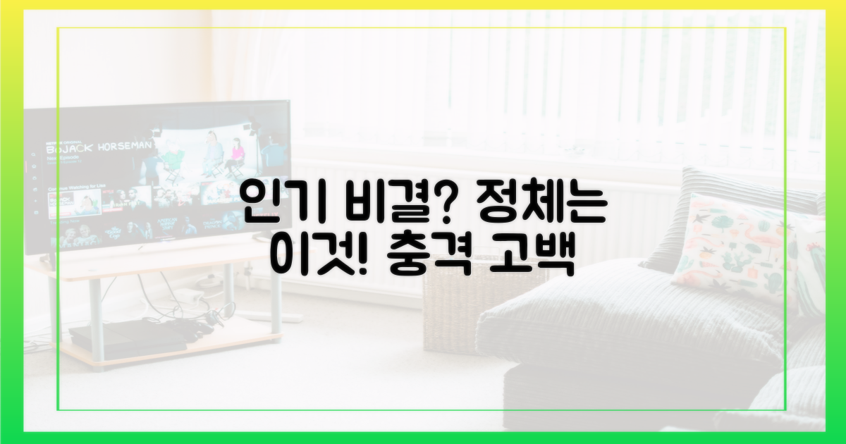 인기 비결은 무엇일까?