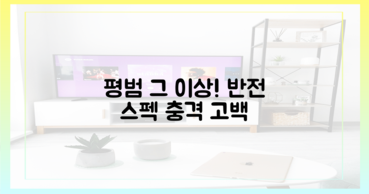 평범함 속 반전 스펙