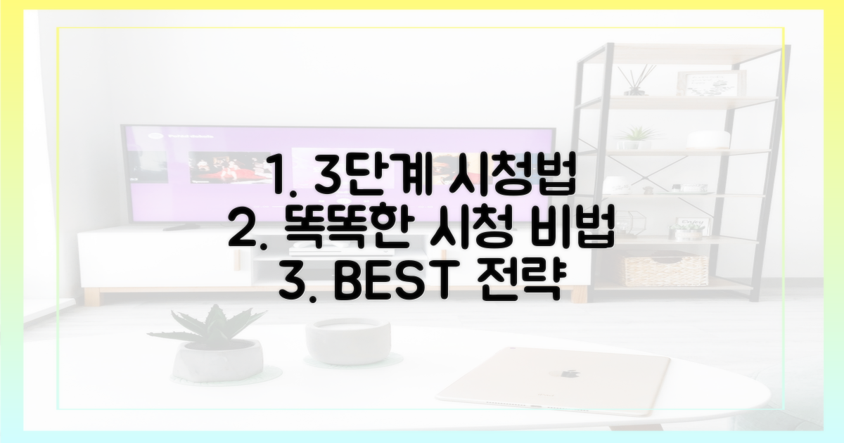 3단계 시청 전략