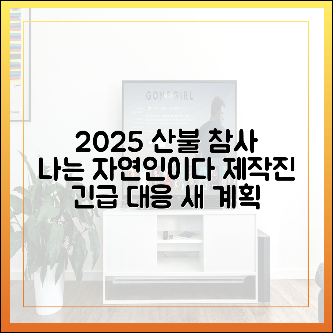 2025년 산불 피해, '나는 자연인이다' 제작진의 대응과 향후 계획